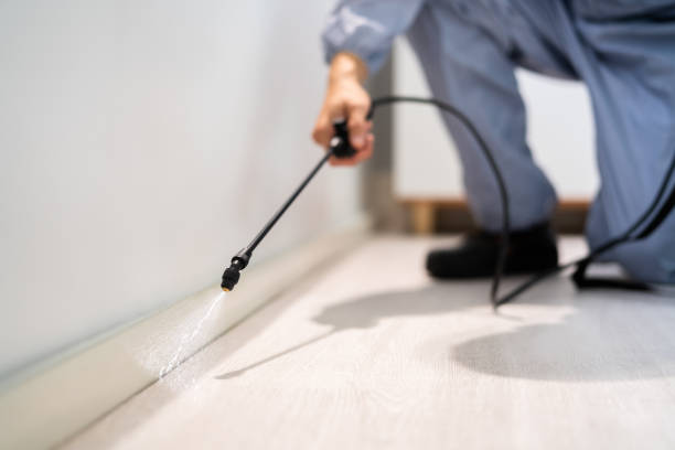 Licensed Pest Control service in Dickinson, TX - Show Me Pest Control