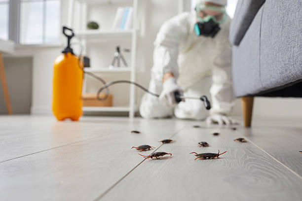 Commercial Kitchen Cockroach Control in Dickinson